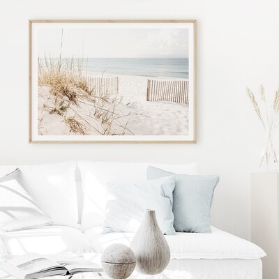 Calming Coastal
