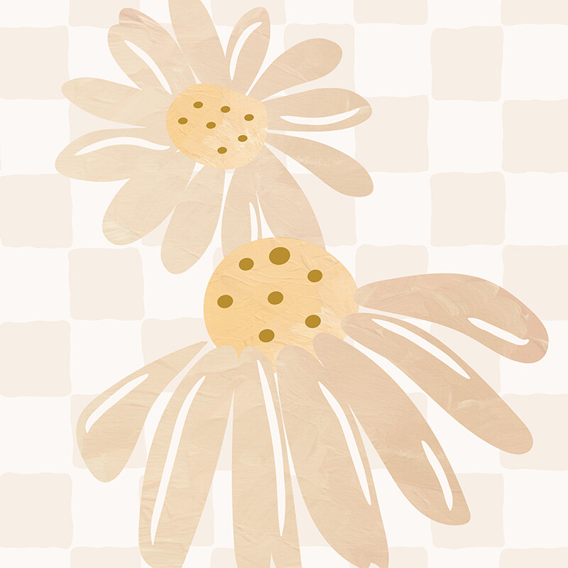 Beach Daisies