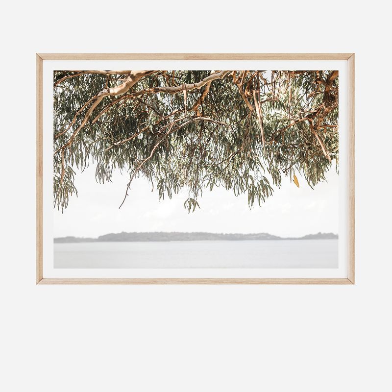 Coolart View (landscape)