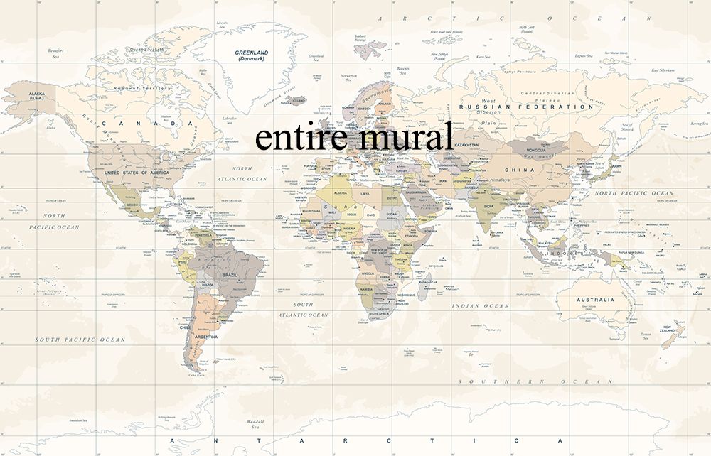 Neutral World Map Removable Wallpaper Mural