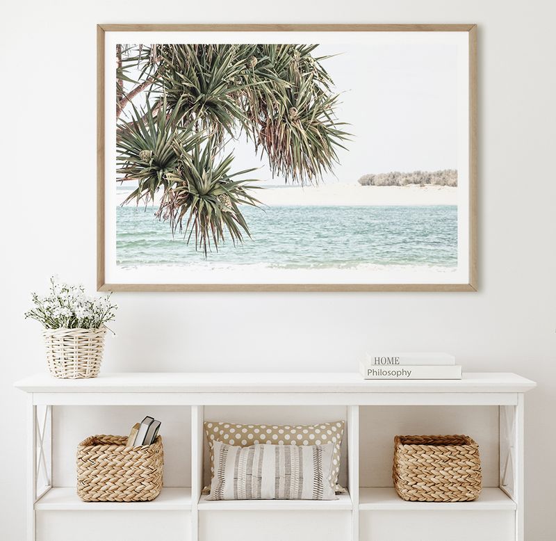 Coastal Pandanus Palm