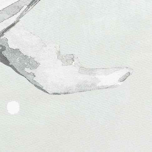 Ocean Sealife Removable Wallpaper Mural