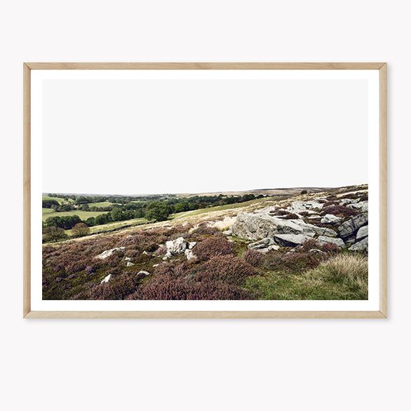 Wuthering Heights I