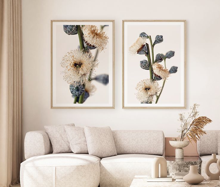 Eucalyptus Blossoms Set