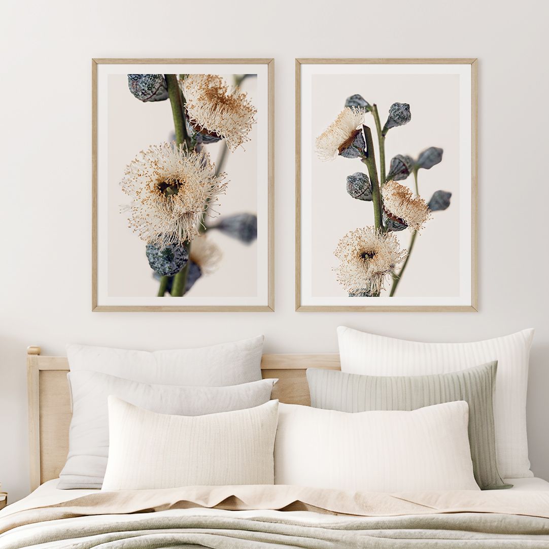 Eucalyptus Blossoms Set