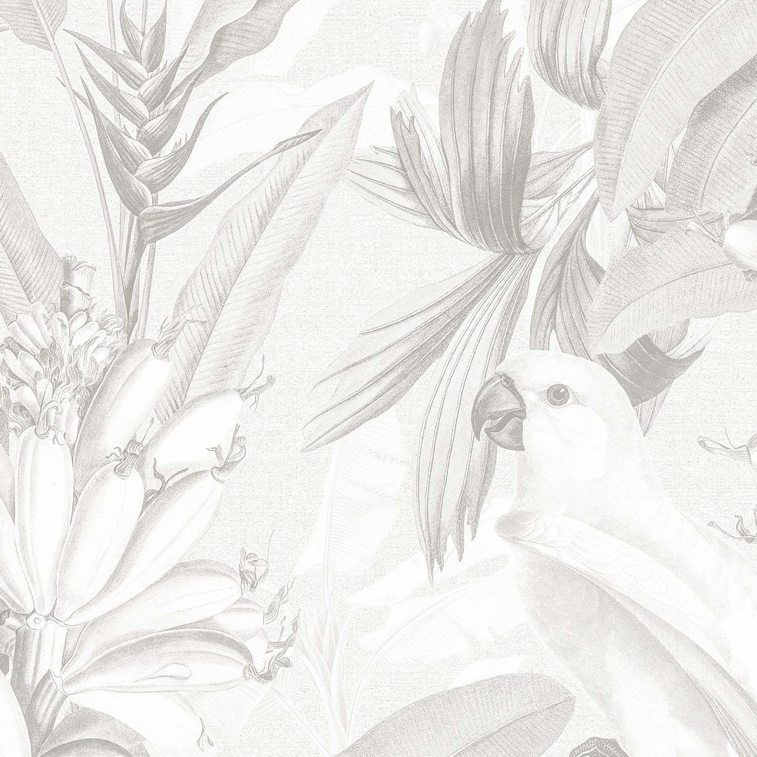 Hamptons Tropical Jungle Removable Wallpaper (Grey)