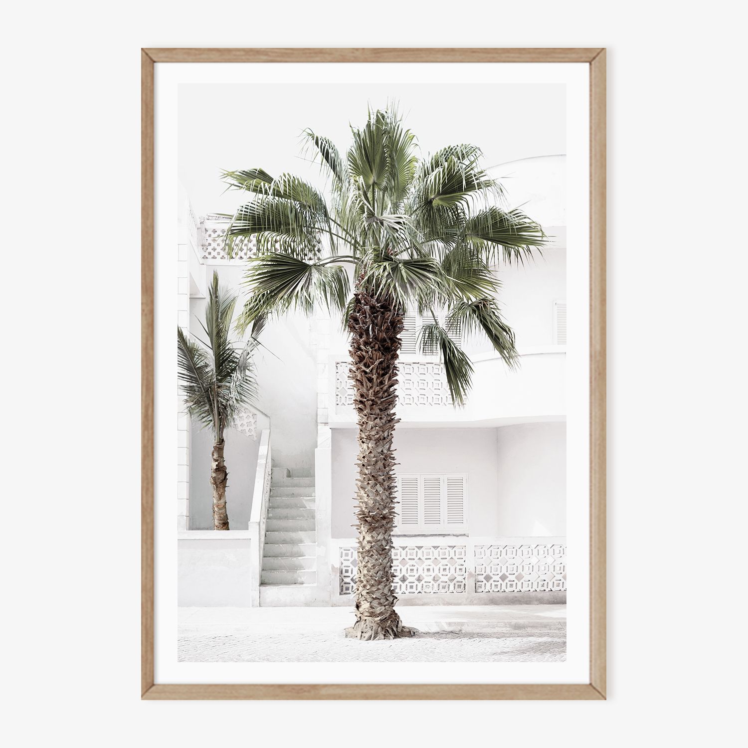 Cape Palm 2026