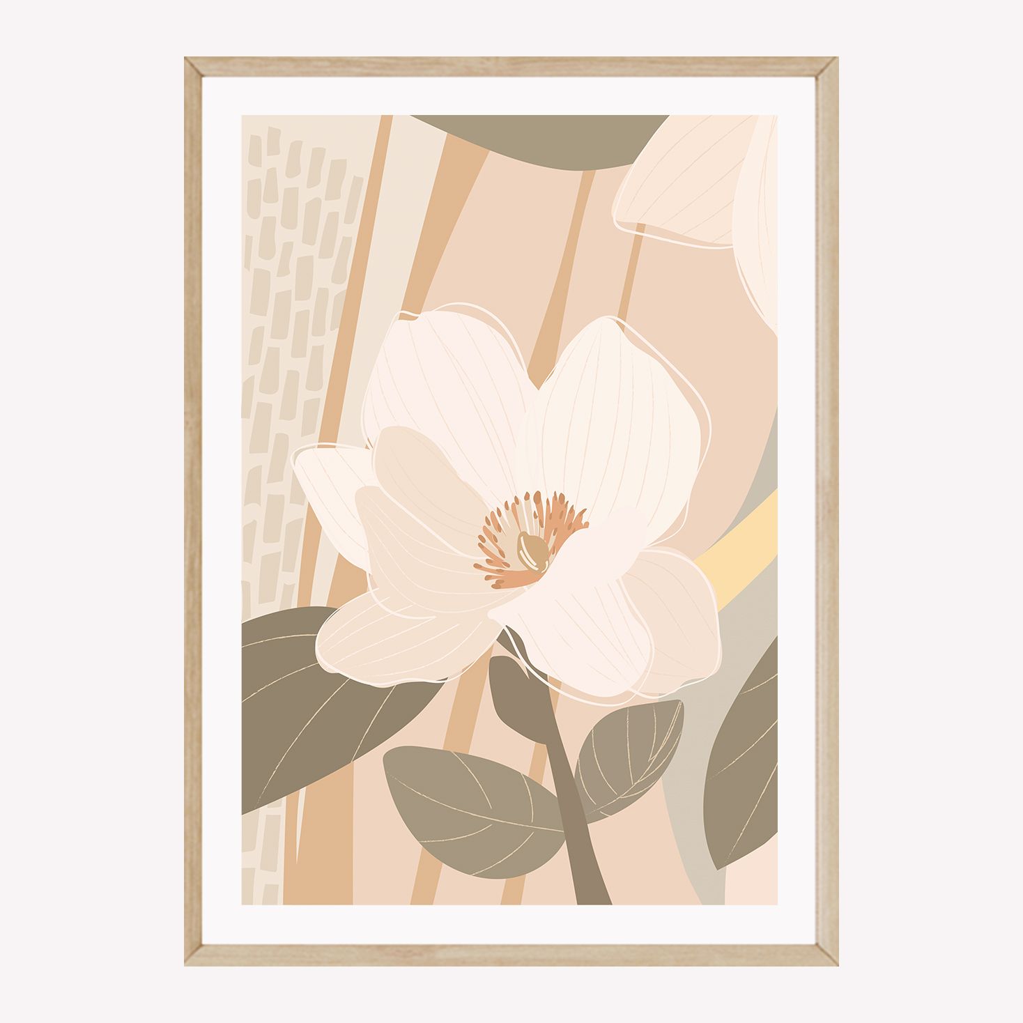 Magnolia Muse Set