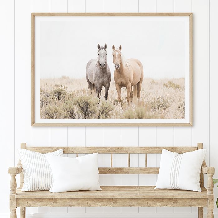 Kindred Brumbies
