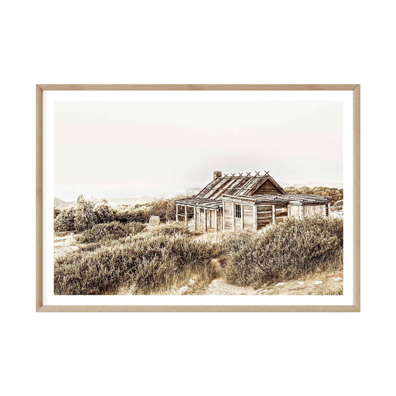 Craig's Hut III