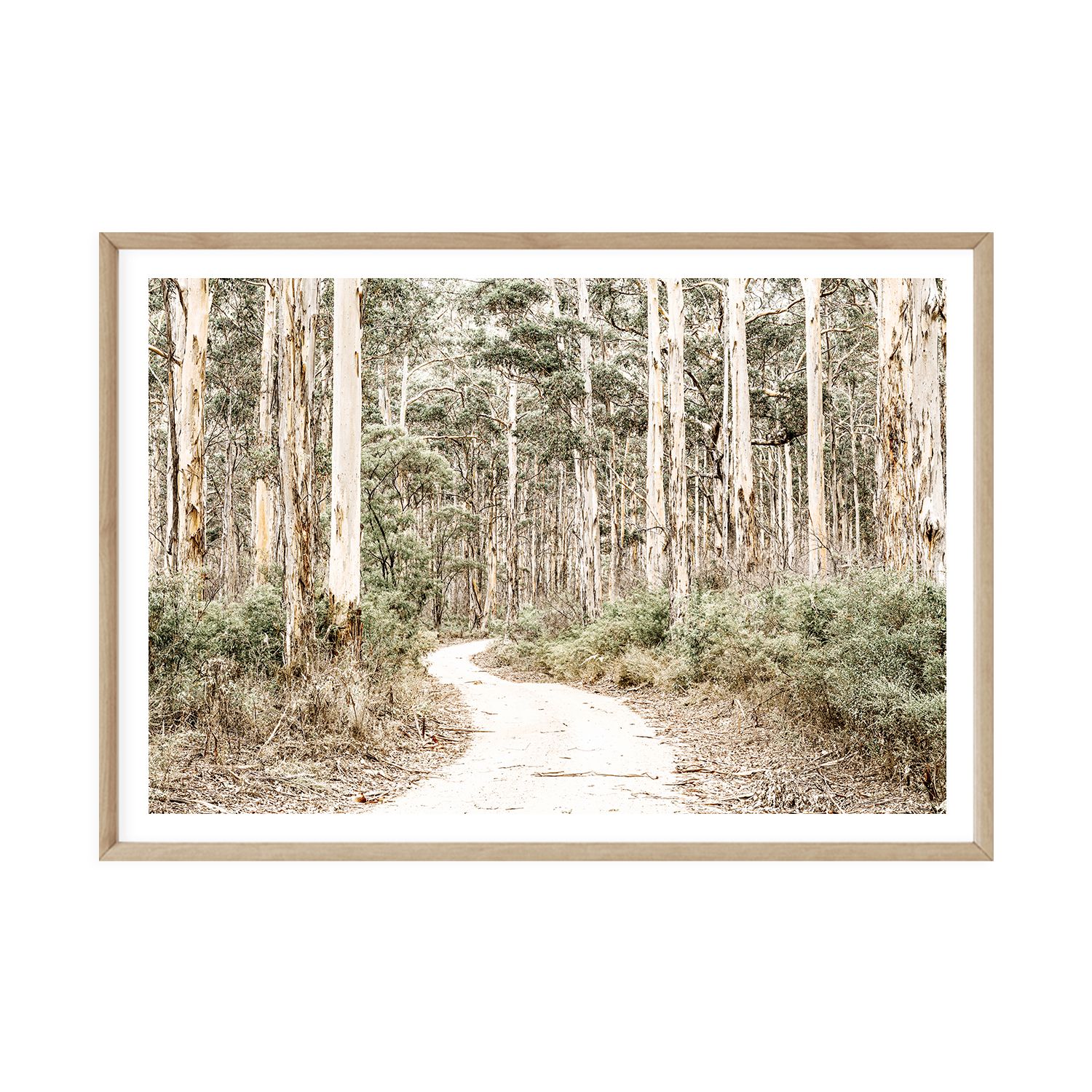 Bushland Path
