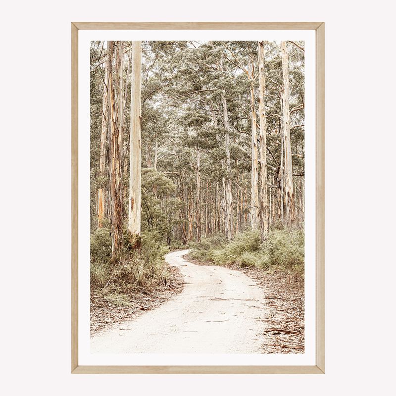 Bushland Path II