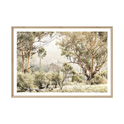Australian Bush