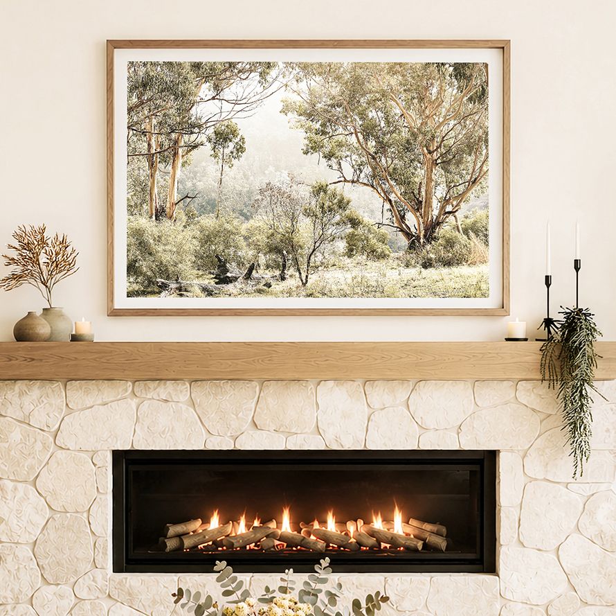 Australian Bush