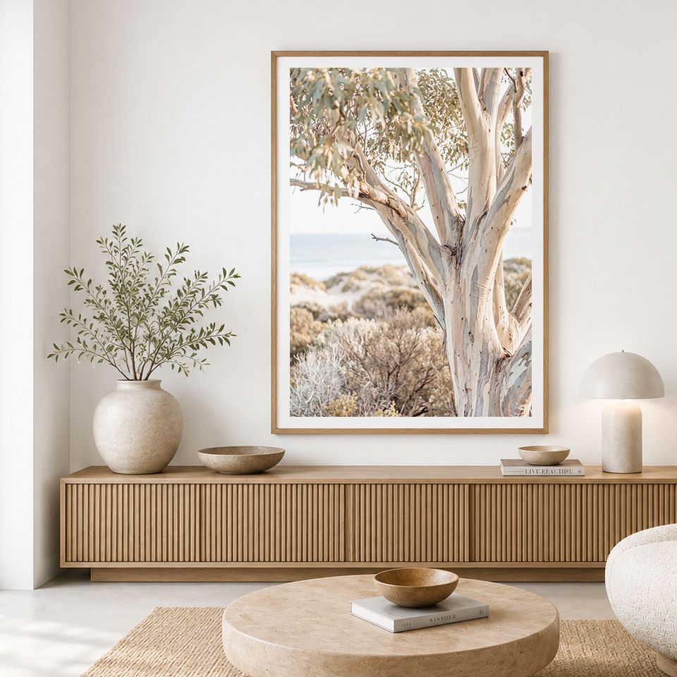 Peninsula Snow Gum