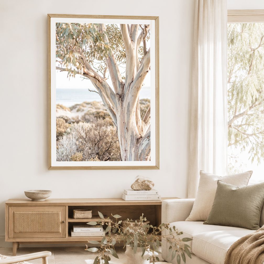 Peninsula Snow Gum