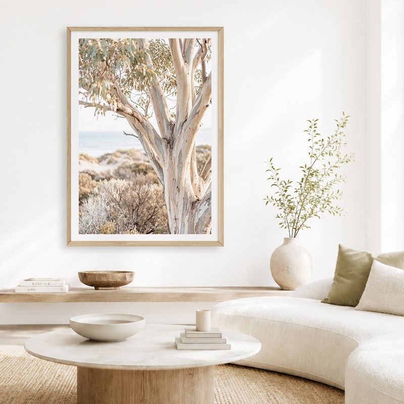 Peninsula Snow Gum