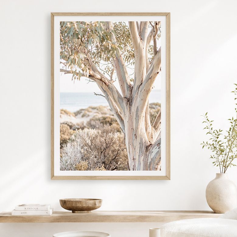 Peninsula Snow Gum