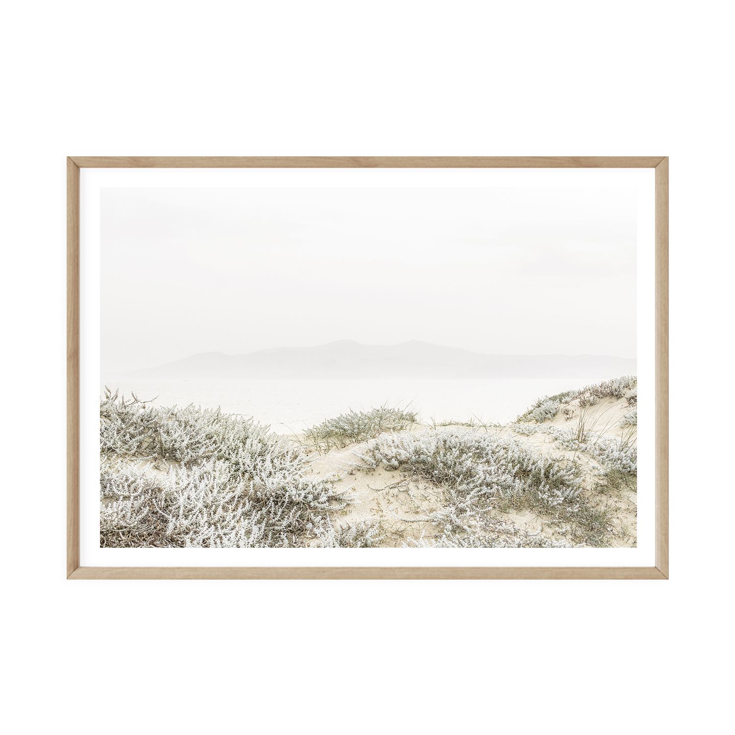 Tranquil Shores