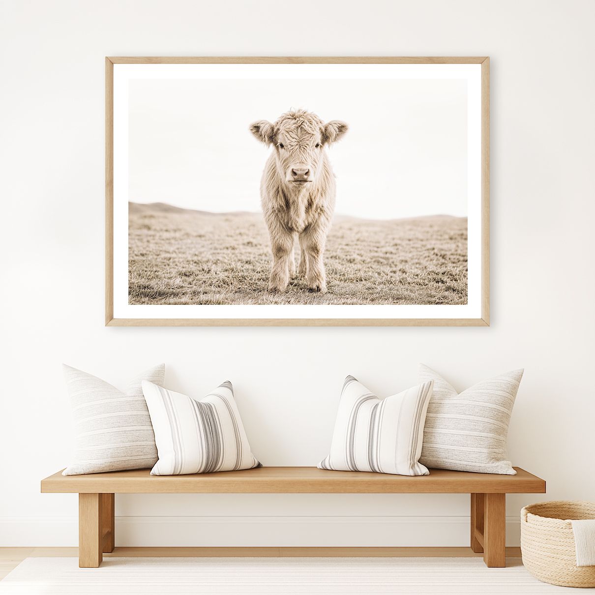 Highland Calf (portrait or landscape)