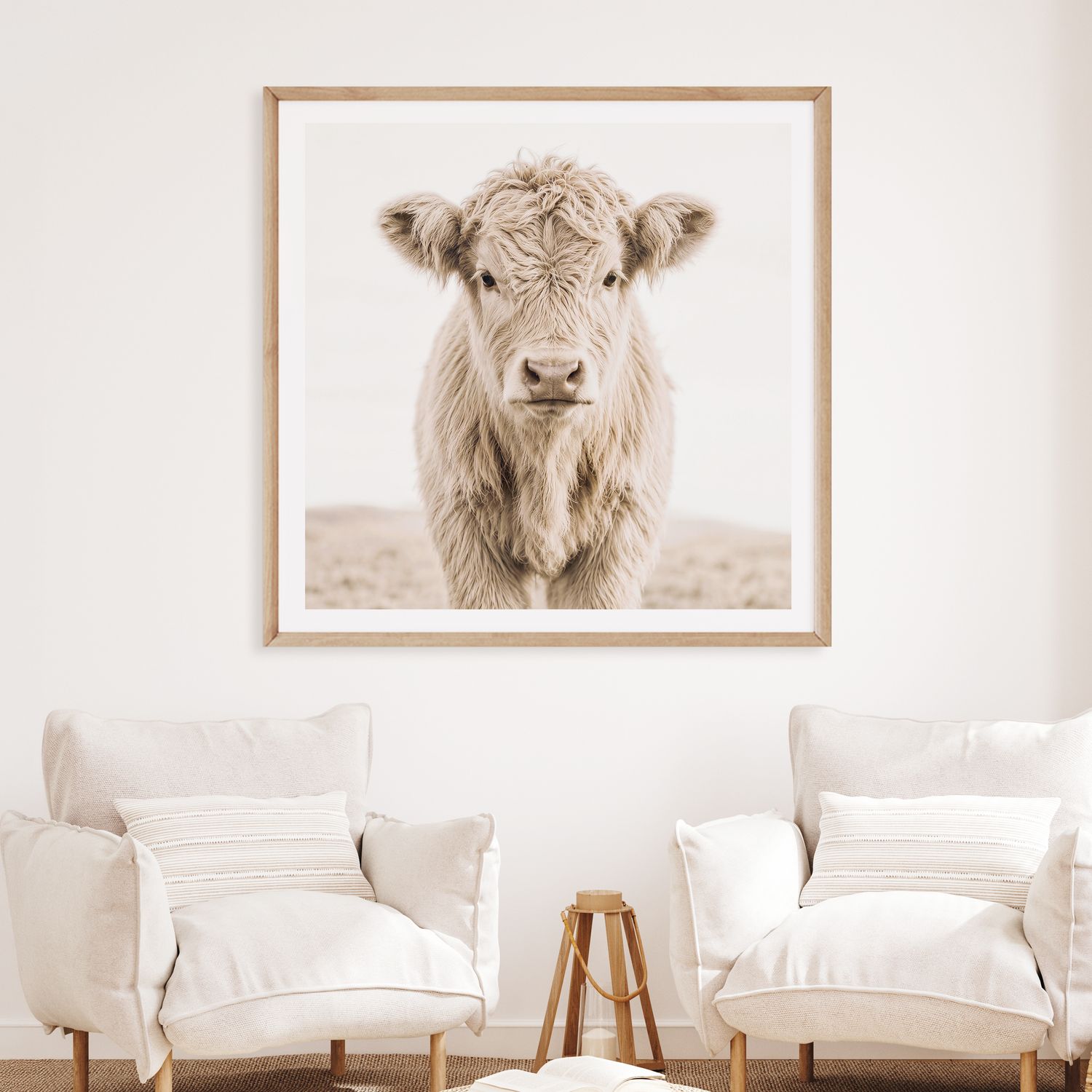 Highland Calf (square)