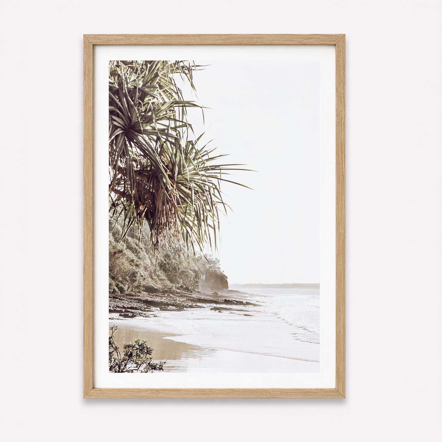 Noosa Coast