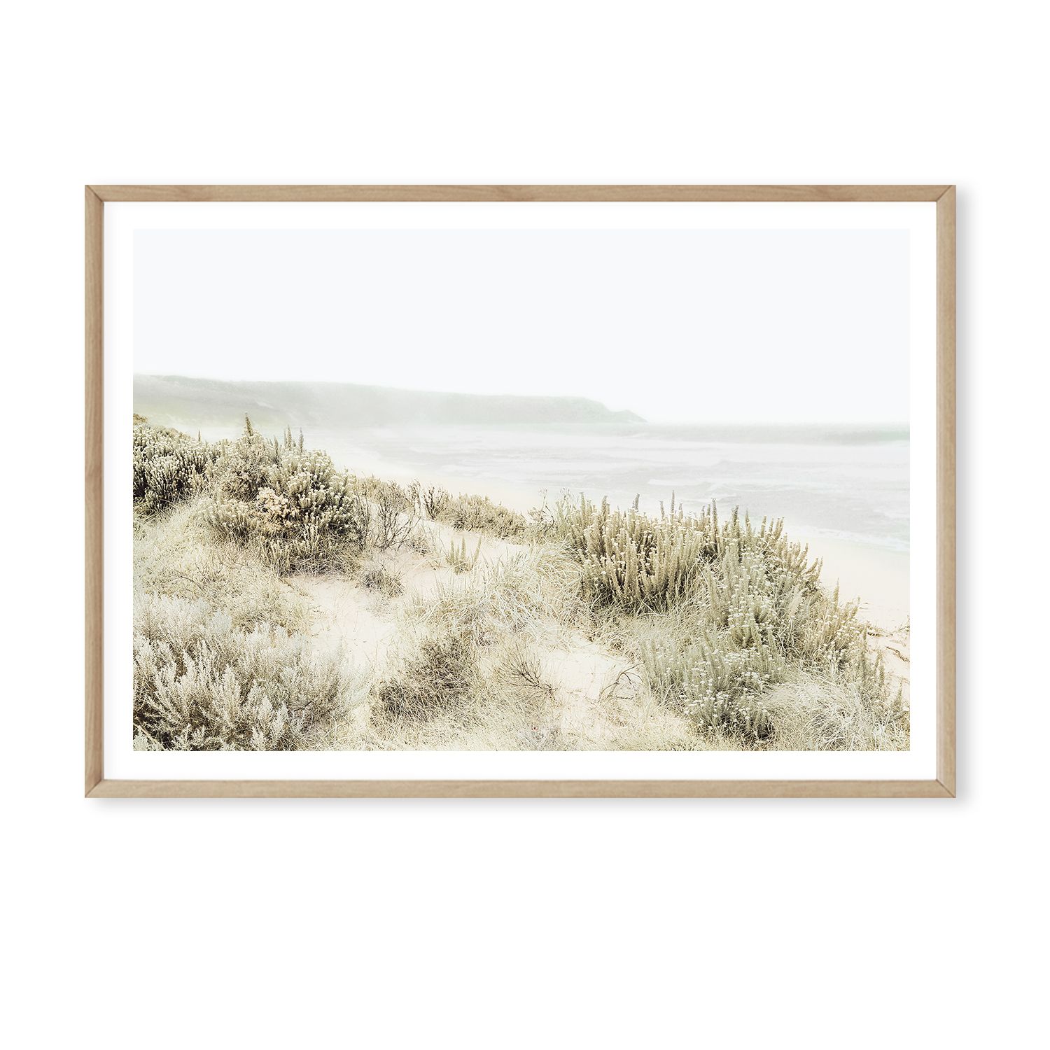 Coastal Flora II