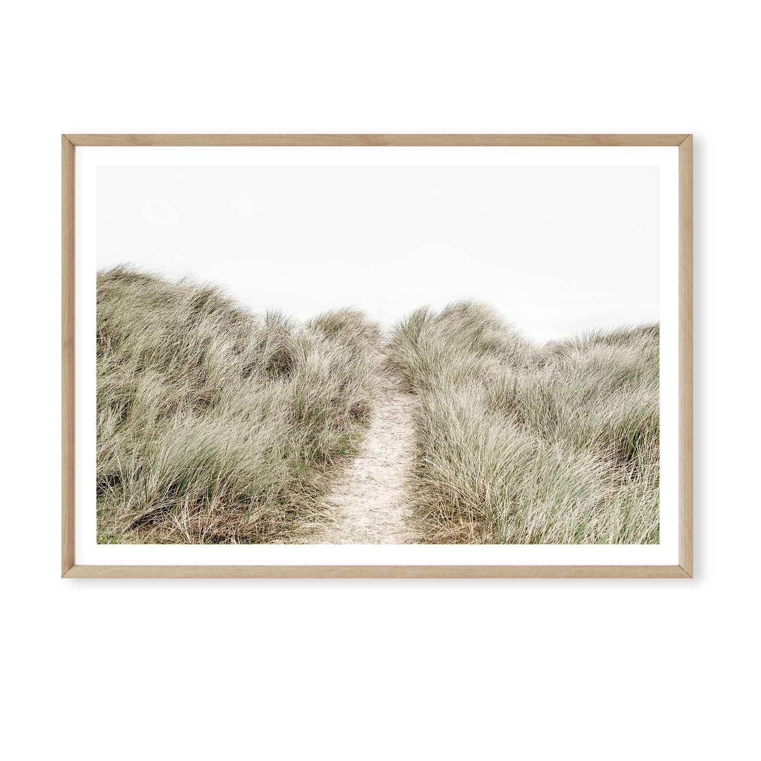 Coastal Dunes
