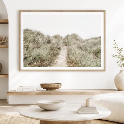 Coastal Dunes