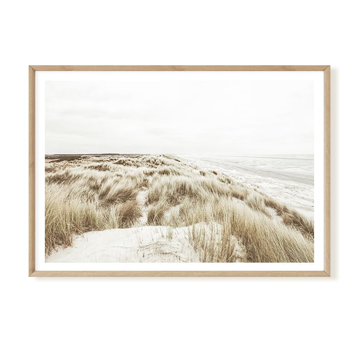 Nordic Coast