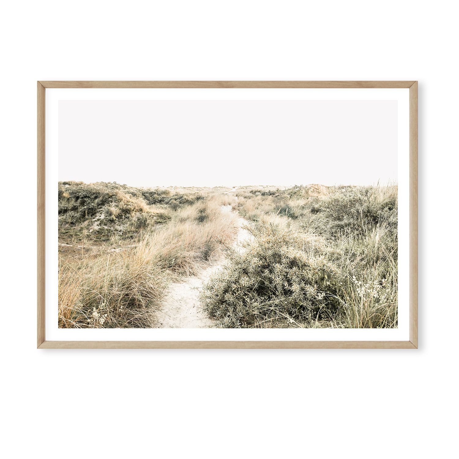Dune Wander