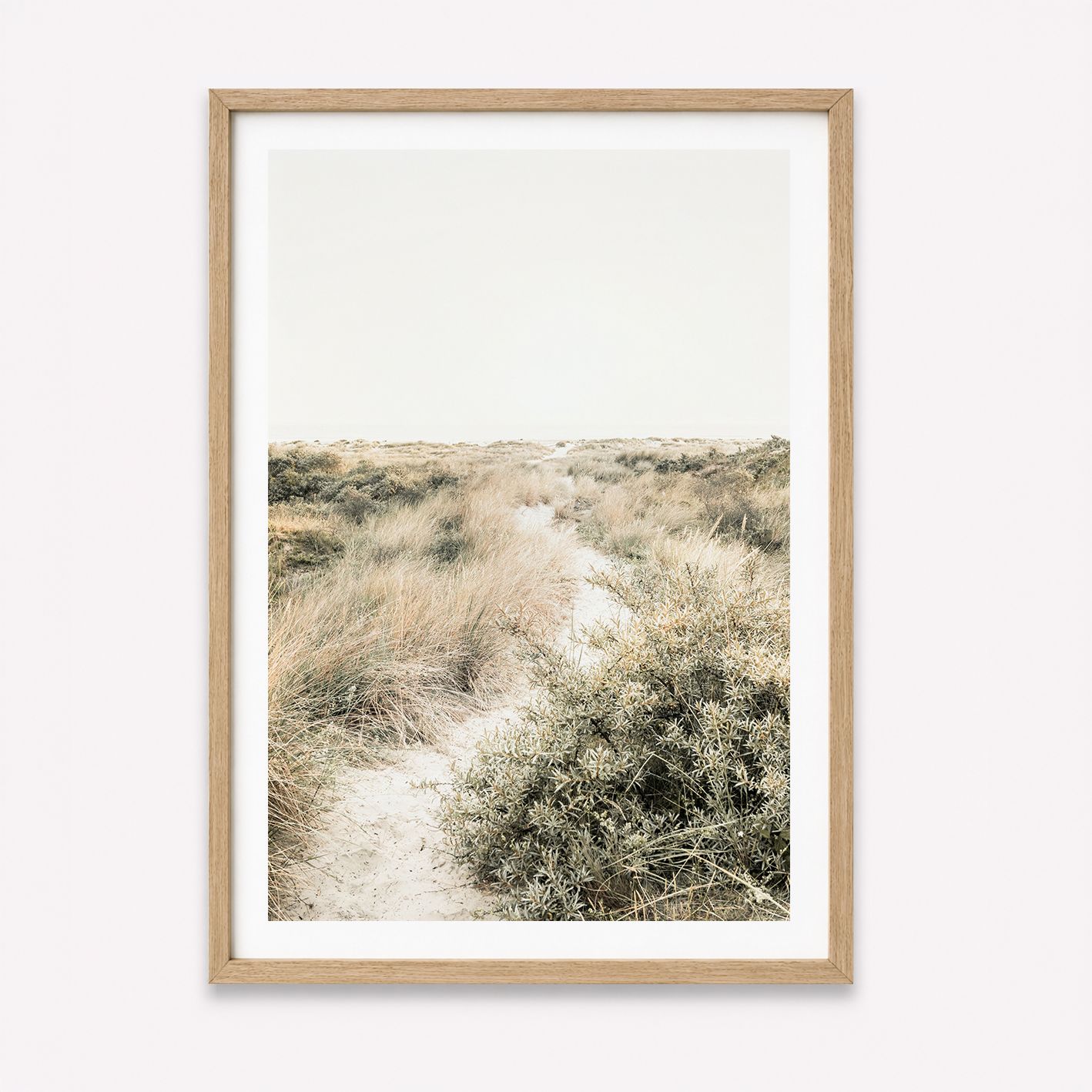 Dune Wander (portrait)