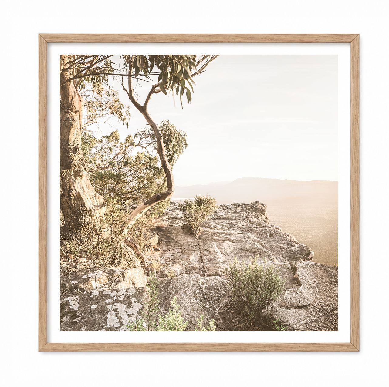 Grampians View