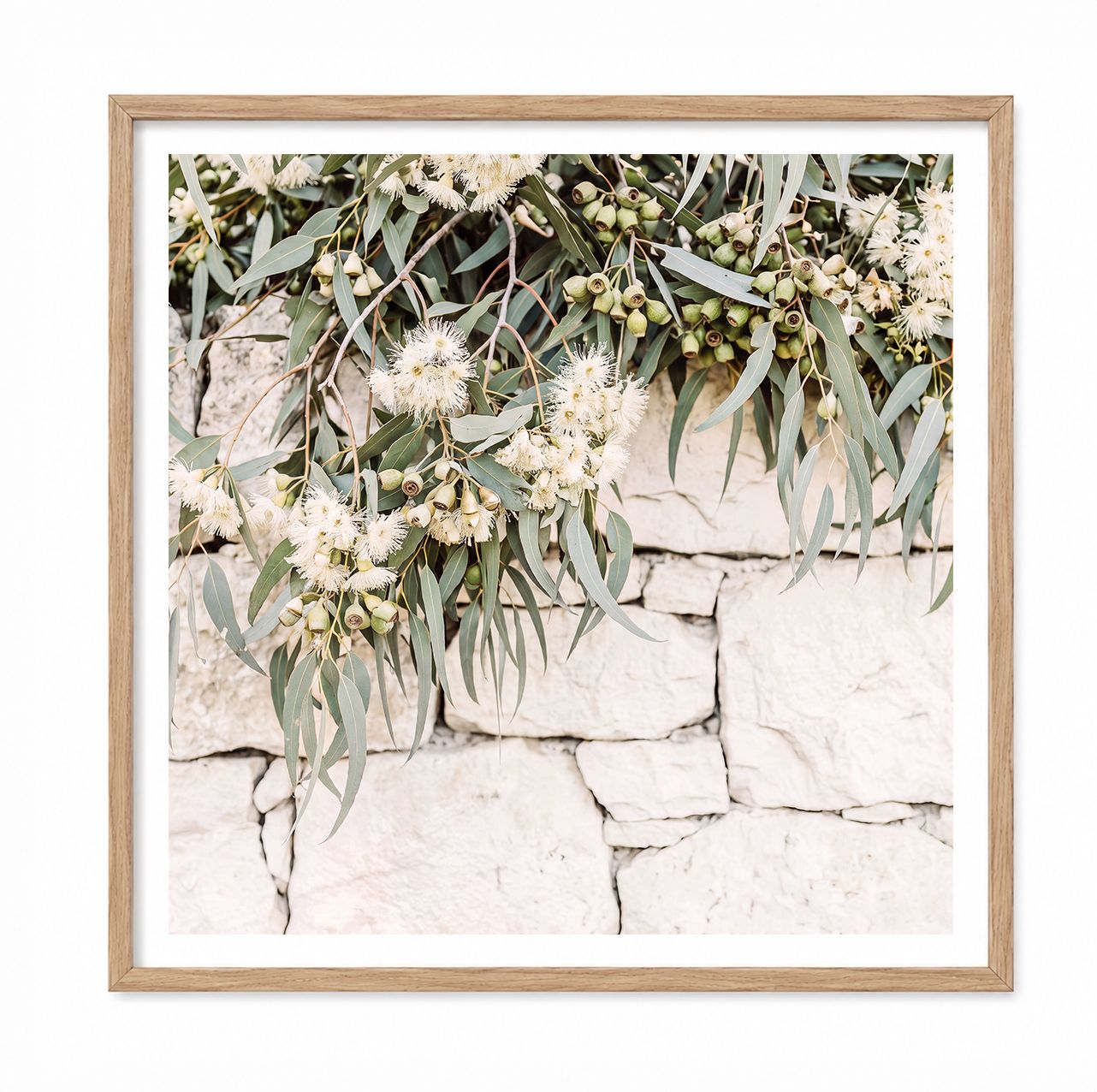 Falling Natives (square)