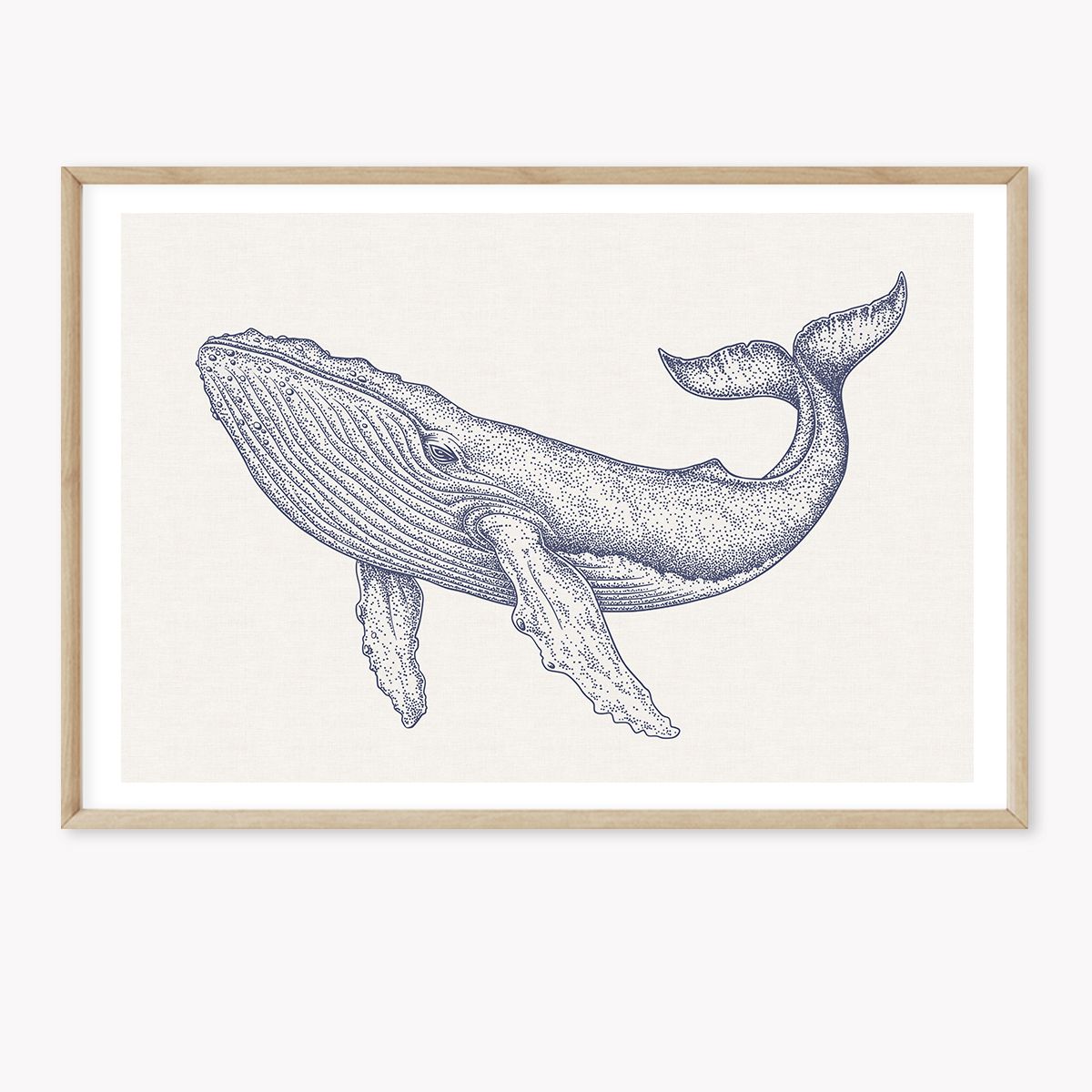 Whale Dream