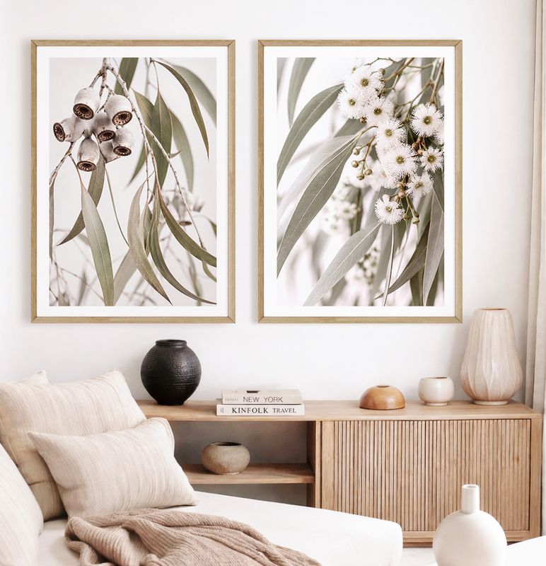 Eucalyptus Blooms & Gungurru Gumnuts Set