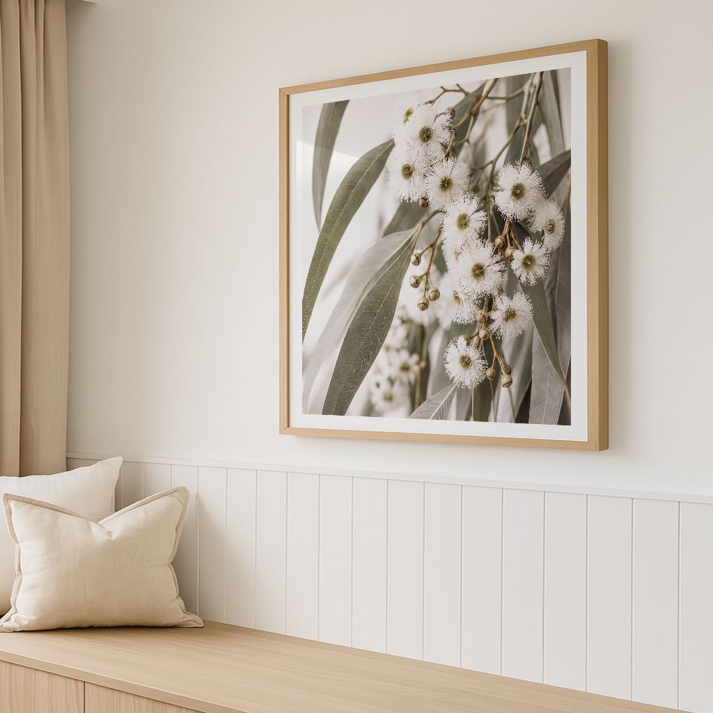 Eucalyptus Blooms (square)
