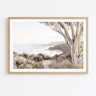 Bush to Bay