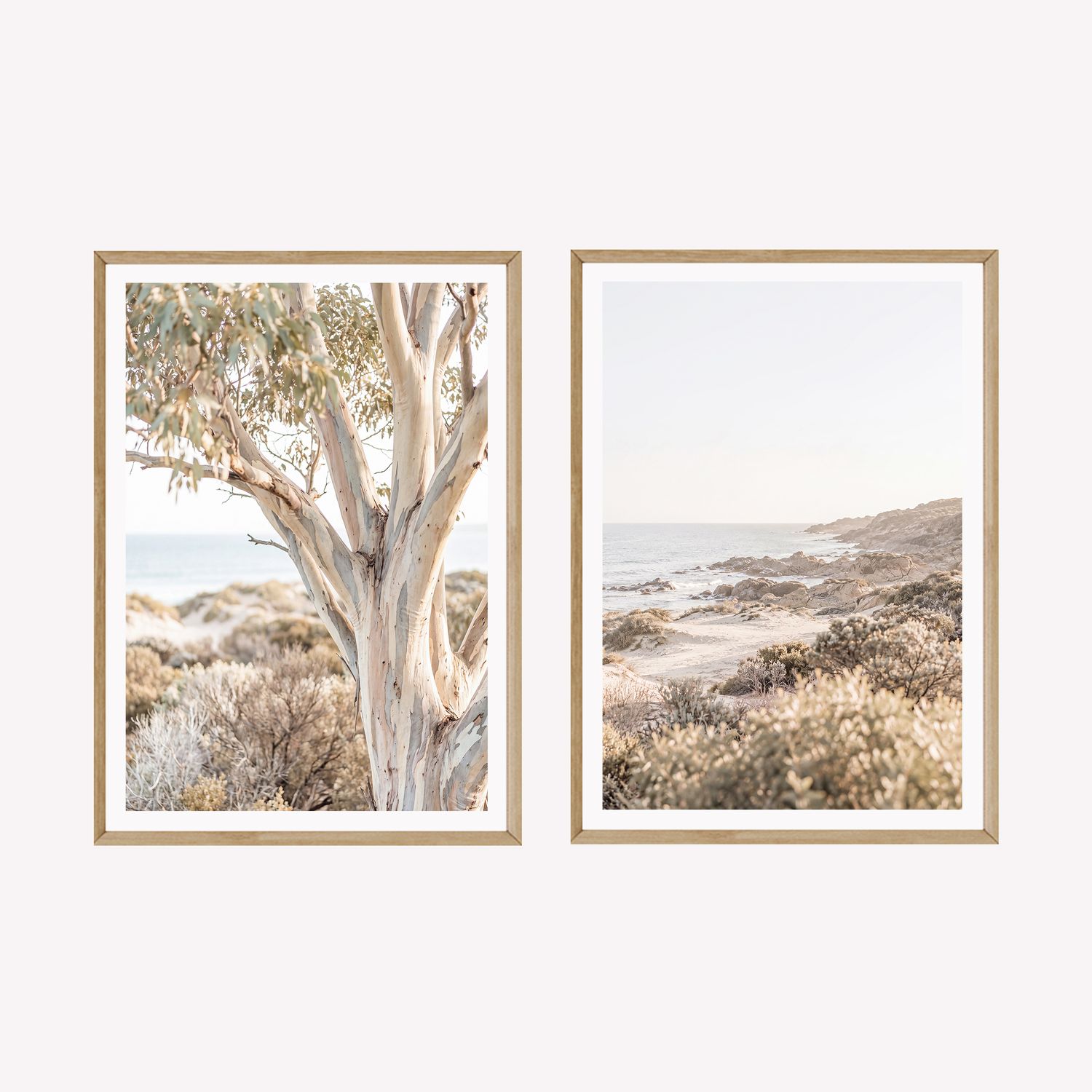 Peninsula Snow Gum &amp; Peninsula Afternoons Set