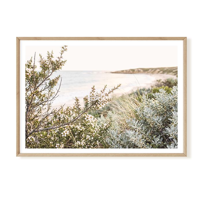 Coastal Serenity