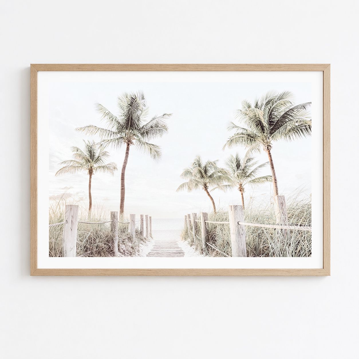 Paradise Dreaming 2026