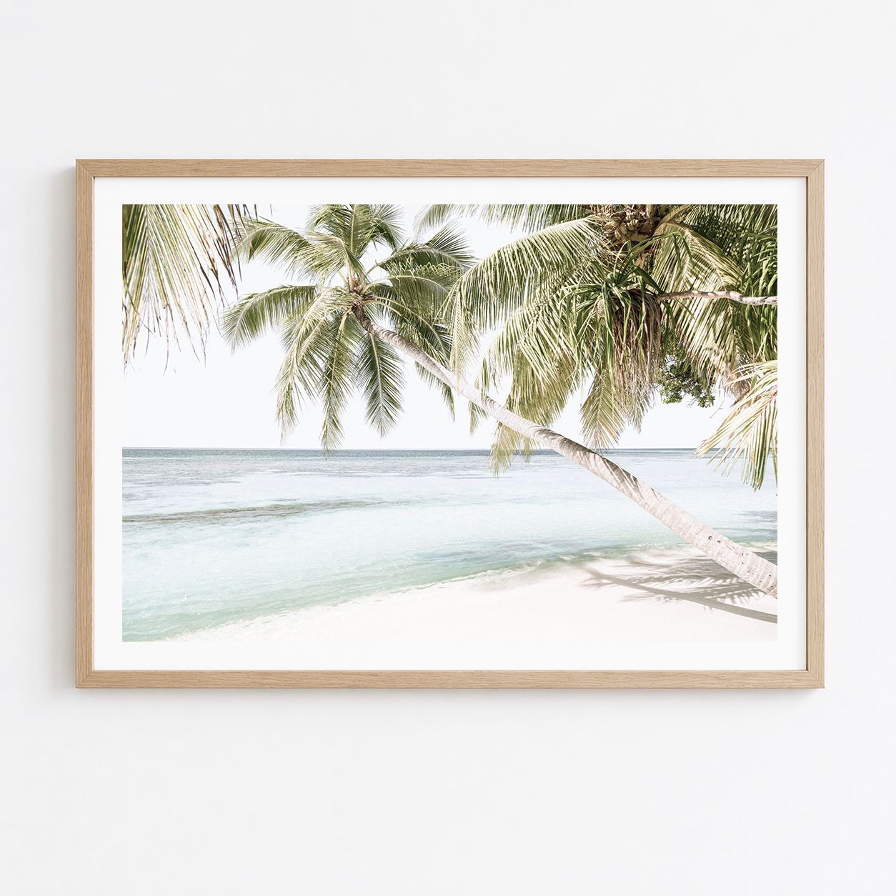 Palm Haven