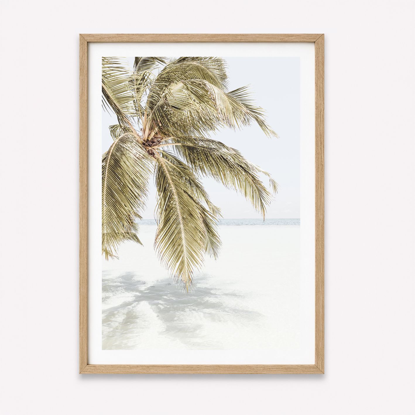 Daydream Island Palm &amp; Island Shade Set