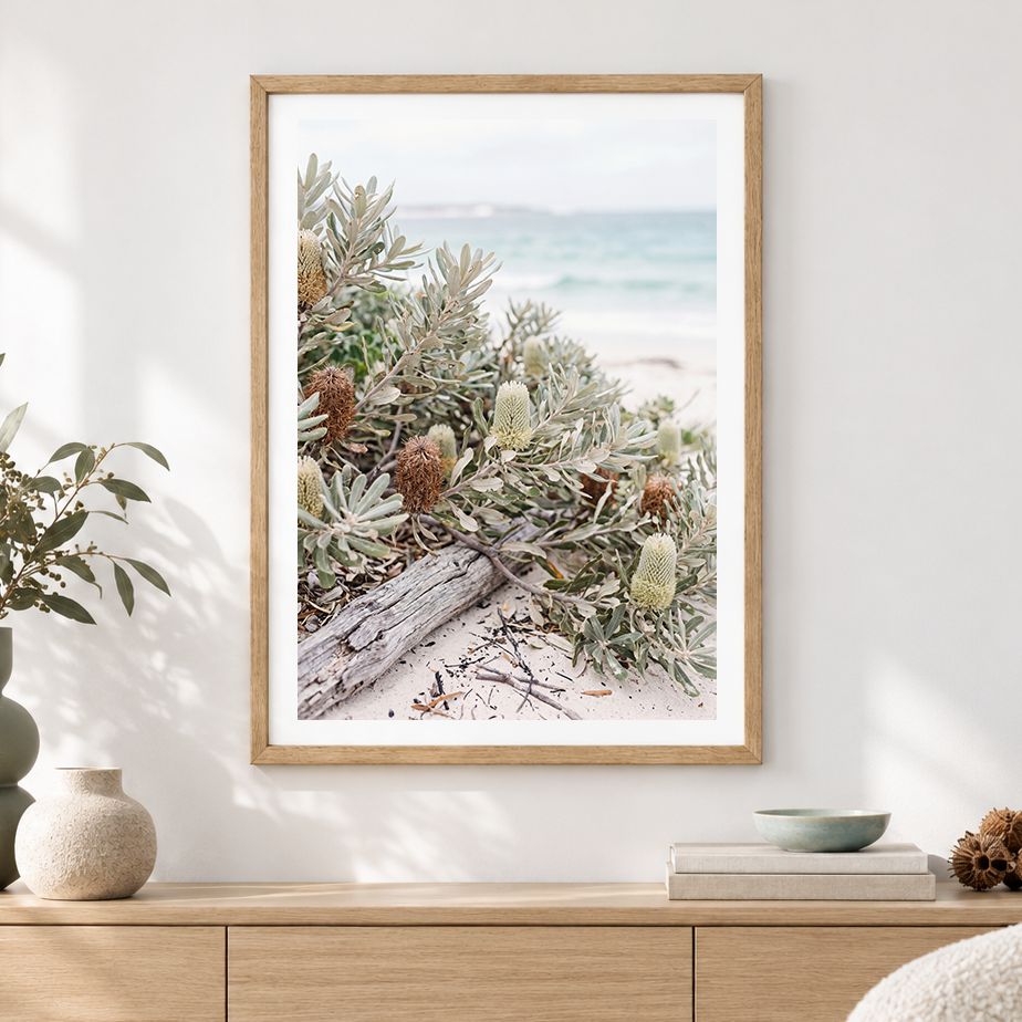 Peninsula Banksia