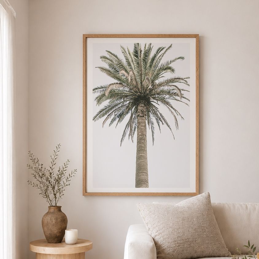 Paradiso Palm 26