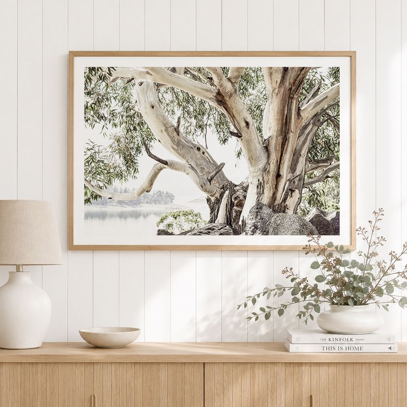 River Gum
