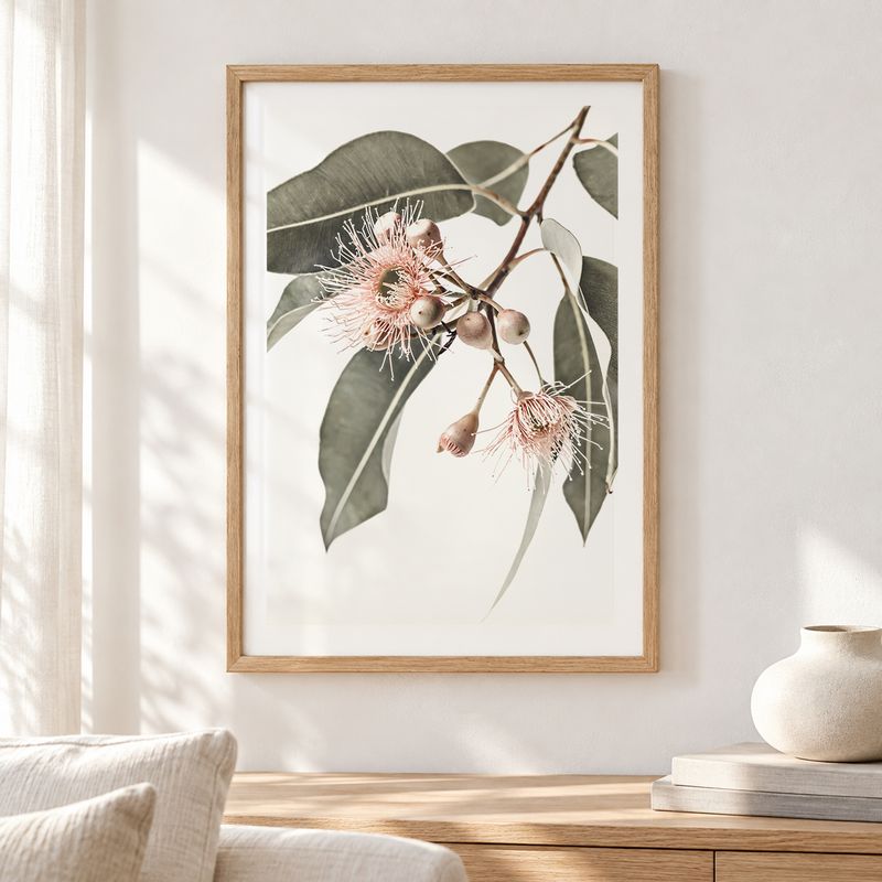 Eucalyptus Gum Blossoms 26