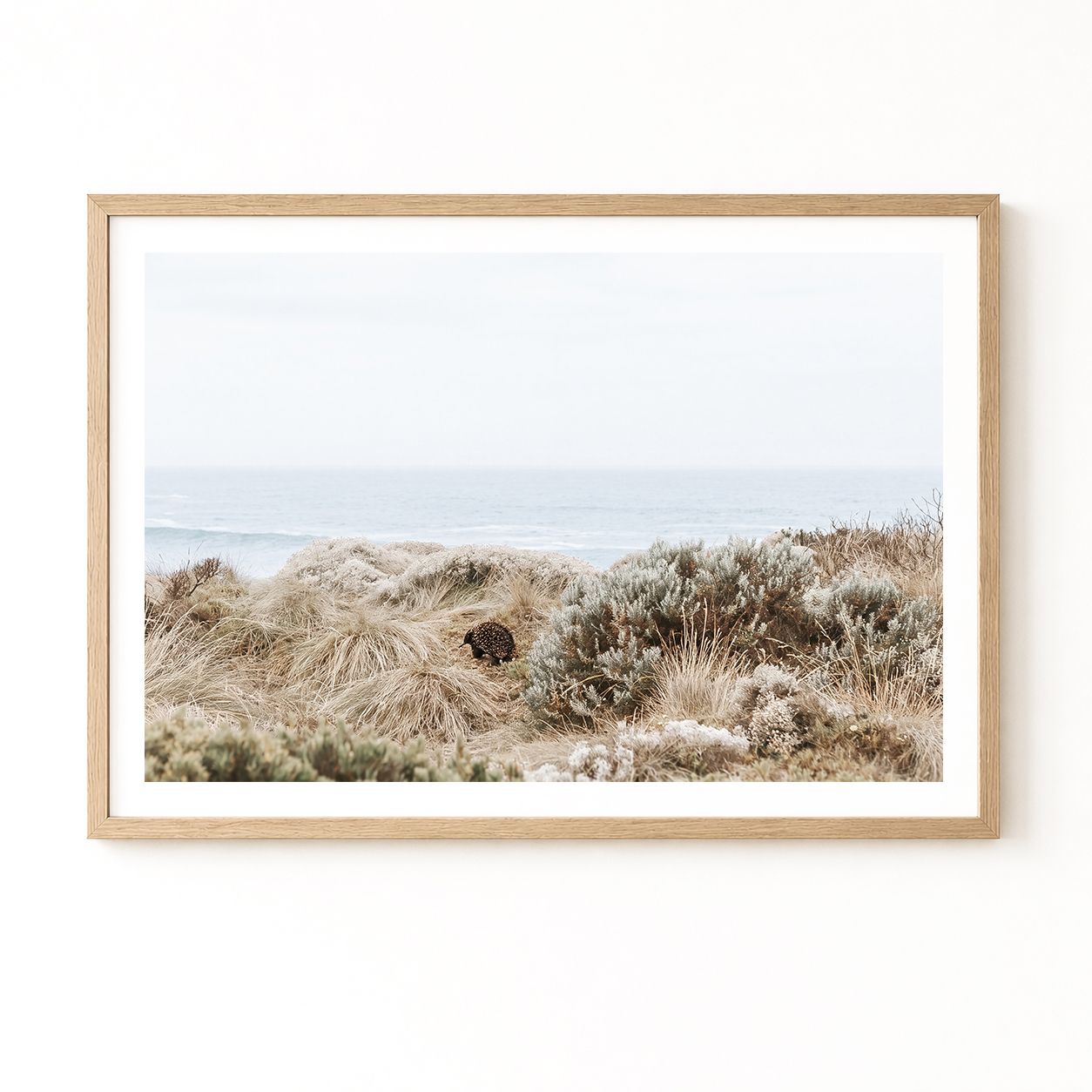 Coastal Wanderer