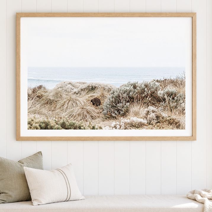 Coastal Wanderer