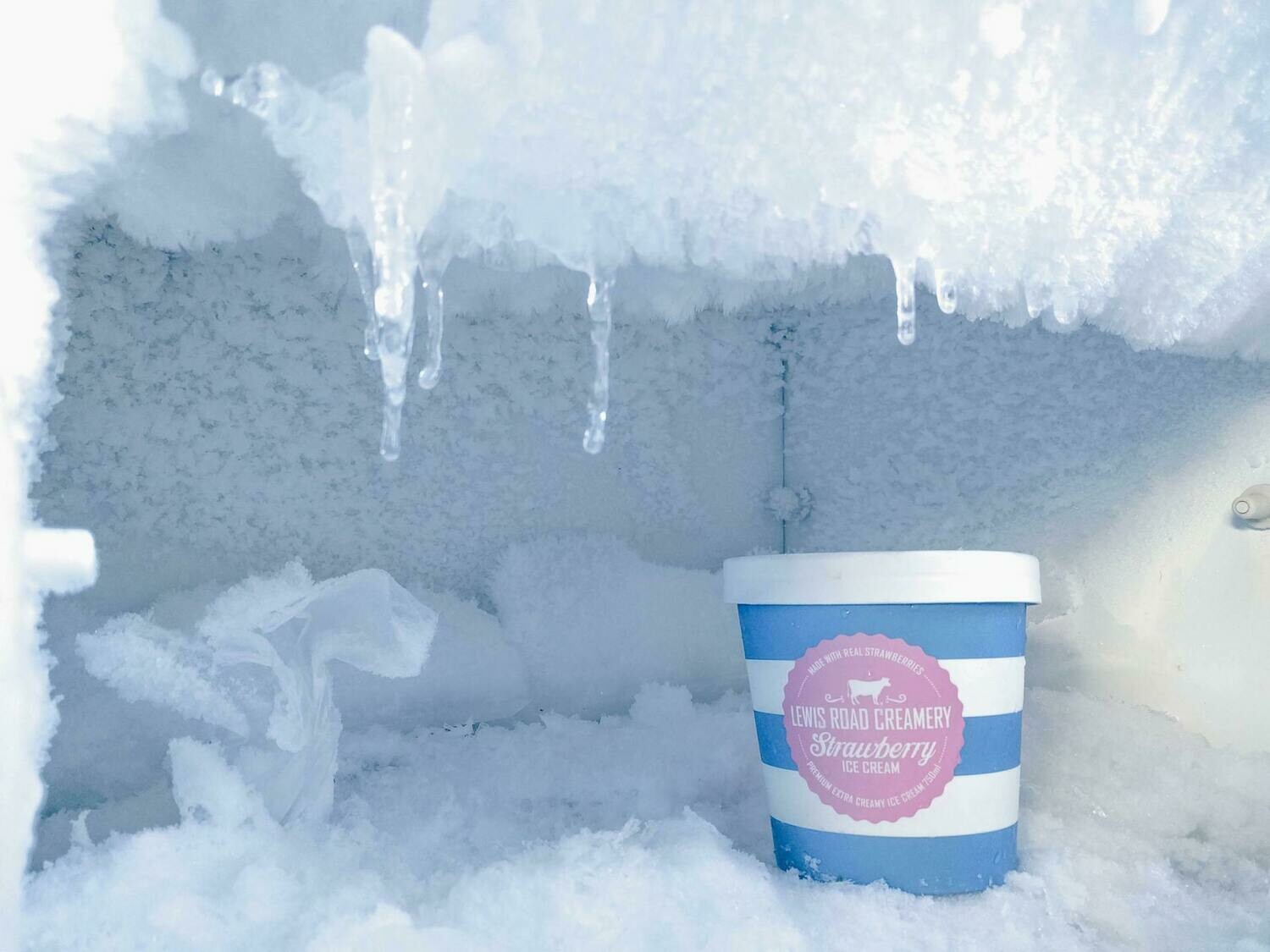 Congelador - Freezer